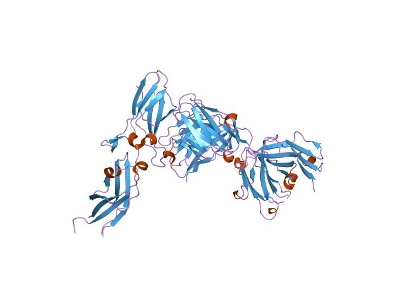 File:PDB 1jps EBI.jpg