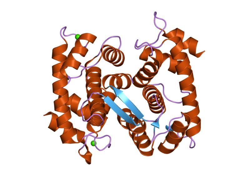 File:PDB 1k94 EBI.jpg