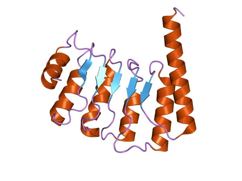 File:PDB 1pgv EBI.jpg