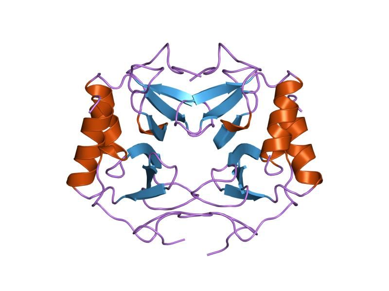 File:PDB 1tvx EBI.jpg