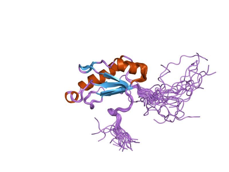 File:PDB 2dit EBI.jpg