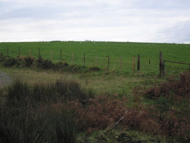 File:Ancient mounds - geograph.org.uk - 1010269.jpg