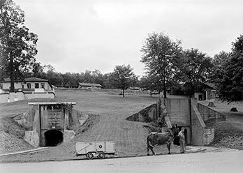 File:Experimental Mine with mule.jpg