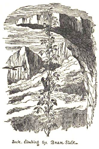 File:Jack and the Beanstalk Cruikshank 1854.jpg