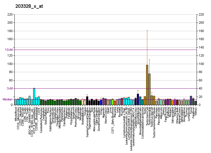 File:PBB GE IDE 203328 x at fs.png