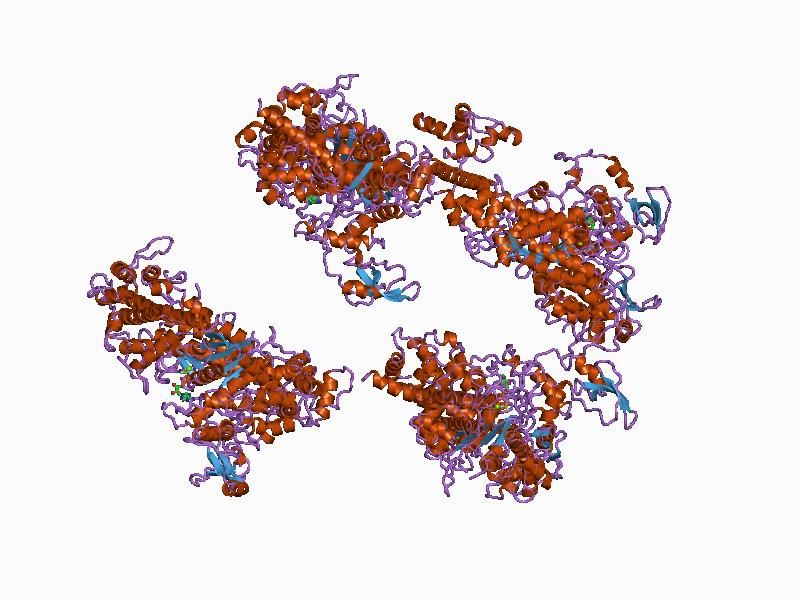 File:PDB 1br4 EBI.jpg