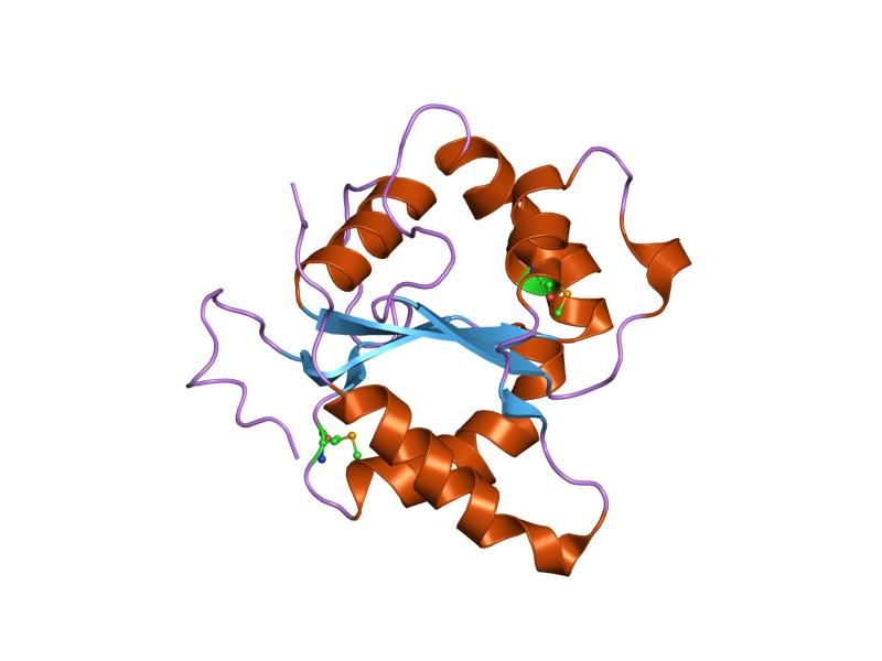 File:PDB 1fyv EBI.jpg