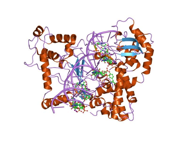 File:PDB 1k4s EBI.jpg