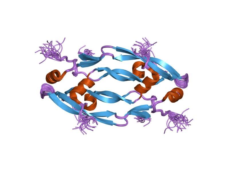 File:PDB 1kat EBI.jpg