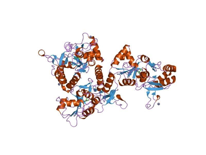 File:PDB 1my3 EBI.jpg