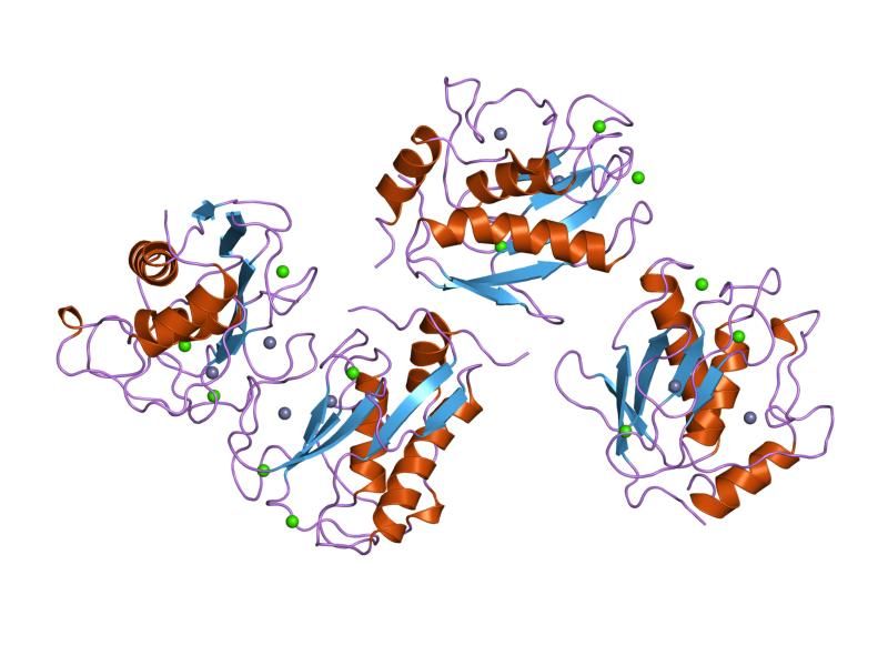 File:PDB 1qia EBI.jpg