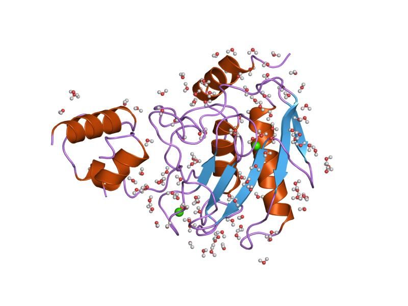 File:PDB 1slm EBI.jpg