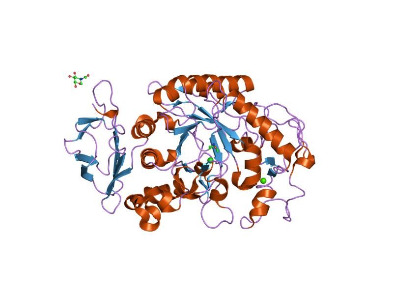 File:PDB 1xh1 EBI.jpg