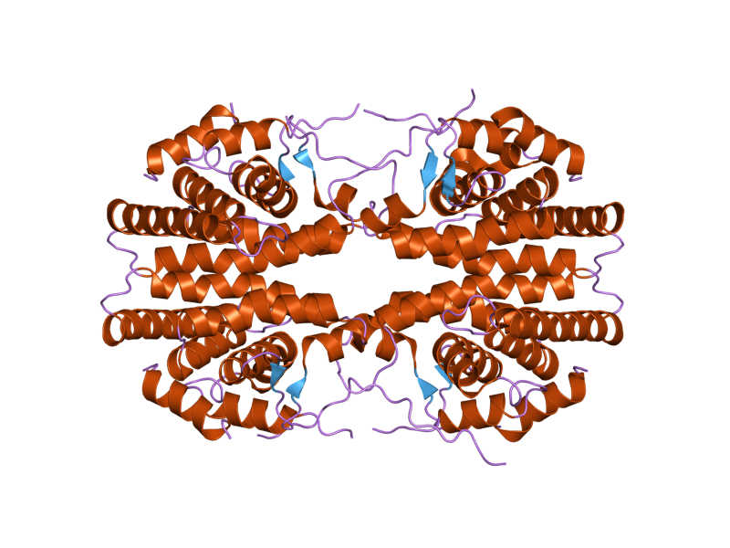 File:PDB 2gl8 EBI.png