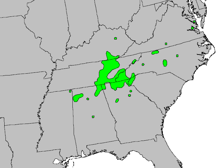 File:Stuartia ovata Range.png