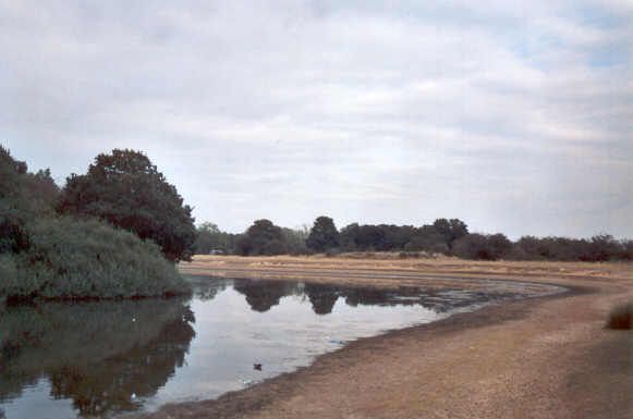 File:Wanstead flats.jpg