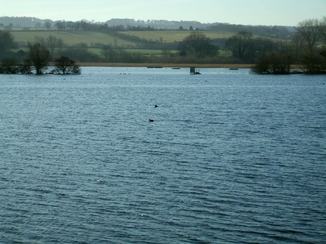 File:Wilstone Reservoir - geograph.org.uk - 716788.jpg