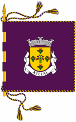 File:150px-Bandeira avelal.png