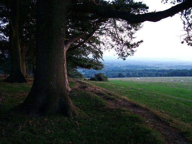 File:Bircher common - geograph.org.uk - 250587.jpg