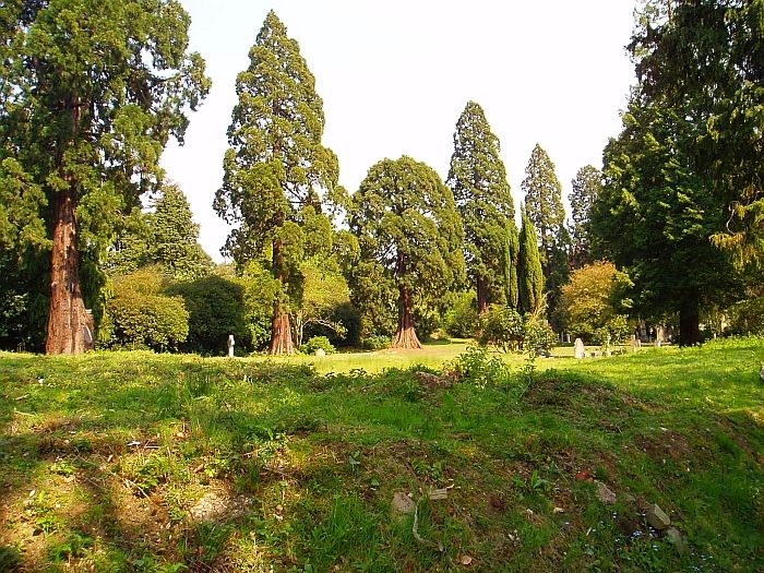 File:Brookwood cemetery 5.jpg