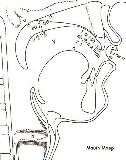 File:Mauth Maep.jpg