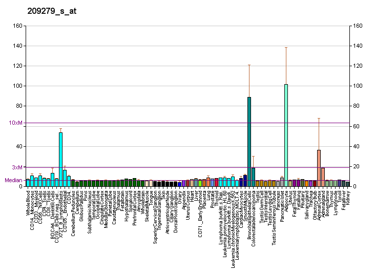 File:PBB GE NSDHL 209279 s at fs.png