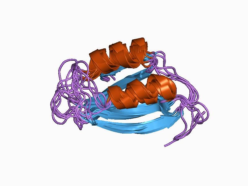 File:PDB 1aps EBI.jpg