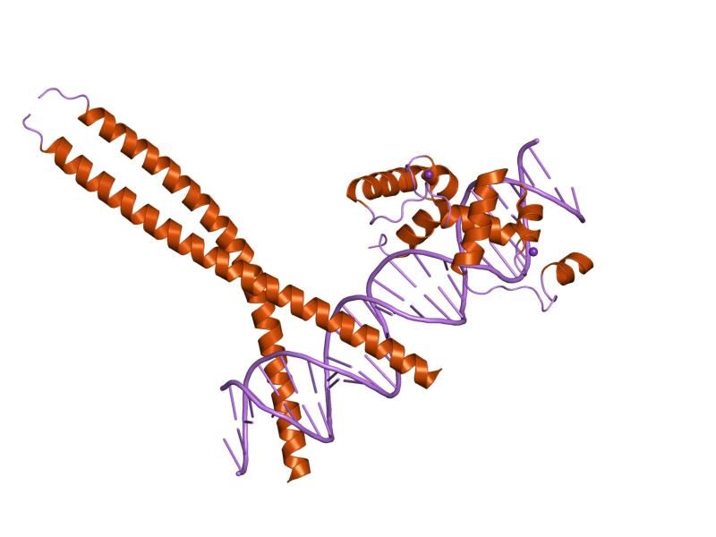 File:PDB 1h89 EBI.jpg