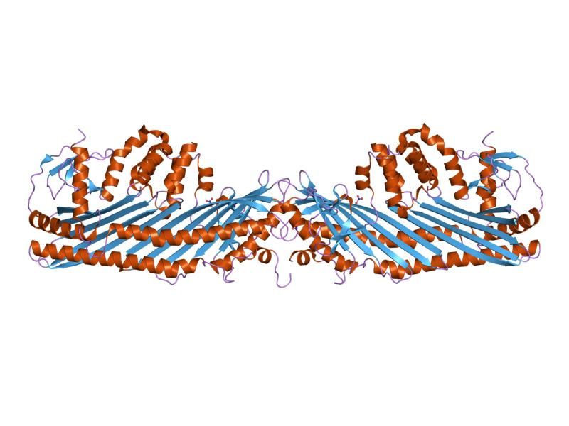 File:PDB 1izn EBI.jpg