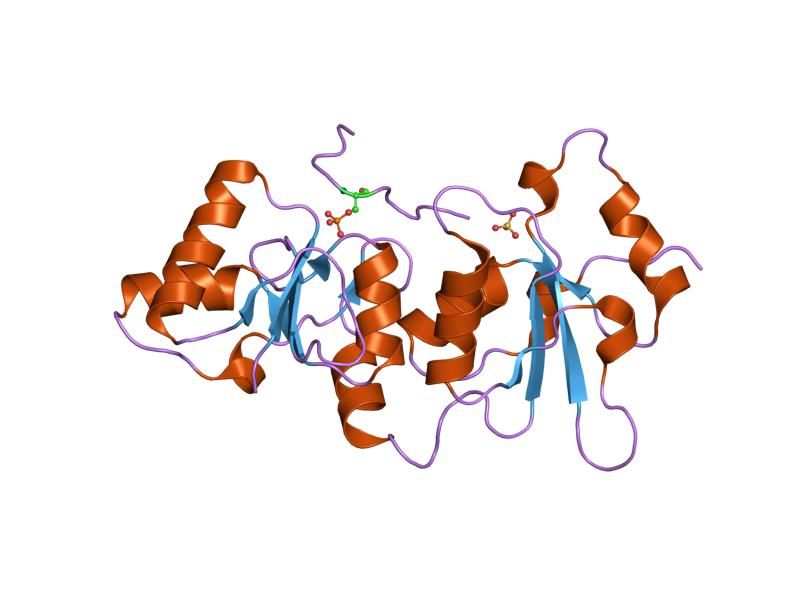 File:PDB 1y98 EBI.jpg