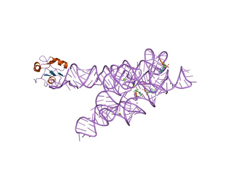 File:PDB 1zzn EBI.jpg