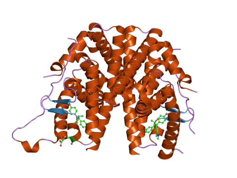 File:PDB 2bj4 EBI.png