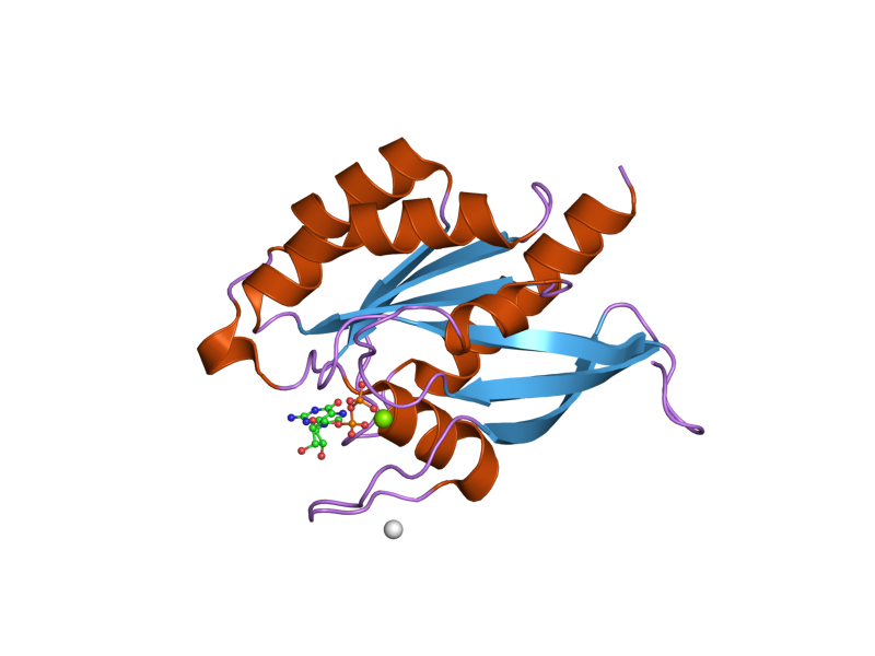 File:PDB 2gf9 EBI.png