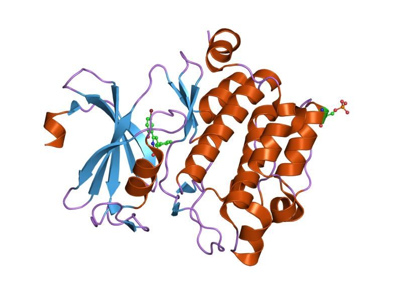 File:PDB 2obj EBI.jpg