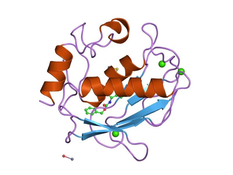 File:PDB 2usn EBI.jpg