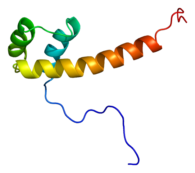 File:Protein PAX6 PDB 2cue.png