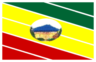 File:Bandera Nirgua.png