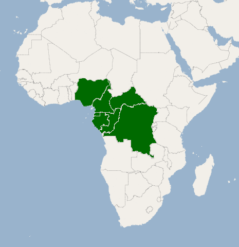 File:Dispersion of Irvingia gabonensis.png