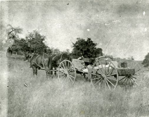 File:Empire Ranch Arizona Buckboard Supplying Camps Circa1899.jpg