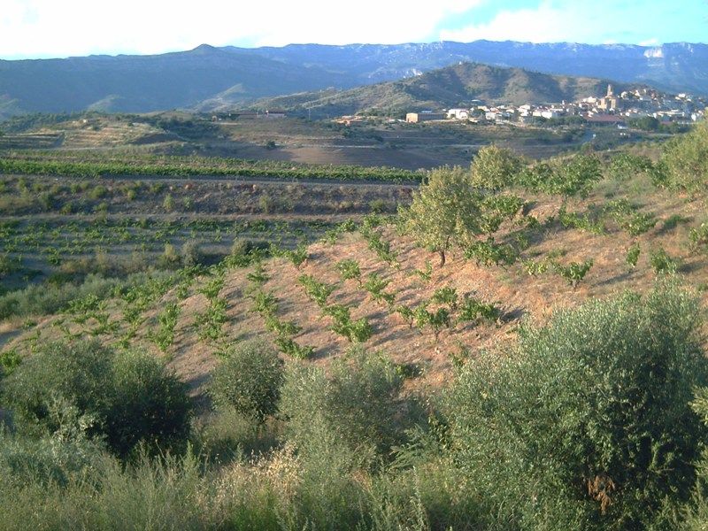 File:Finca Rocapoll.jpg