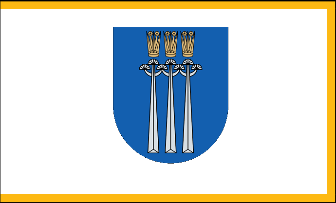 File:Flag of Druskininkai.png