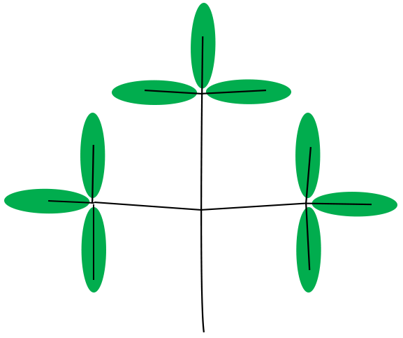 File:Leaf morphology Biternate.png