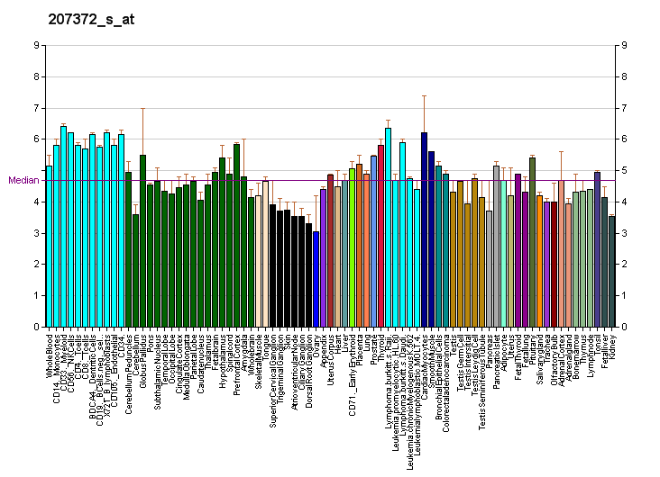 File:PBB GE ENTPD2 207372 s at fs.png