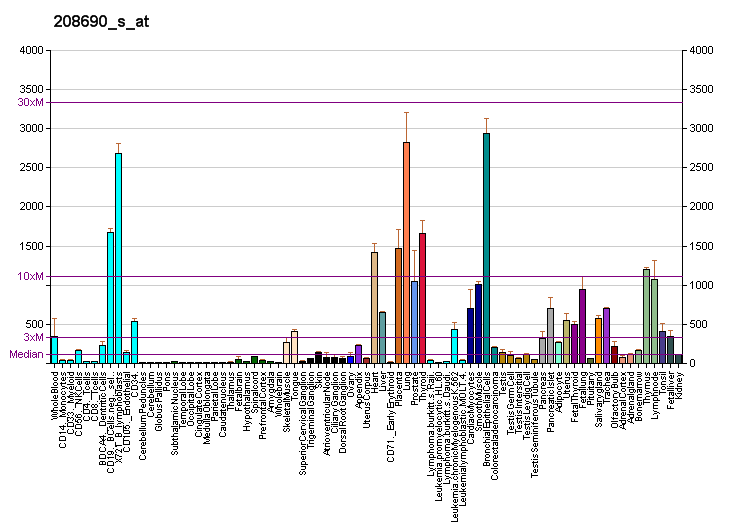 File:PBB GE PDLIM1 208690 s at fs.png