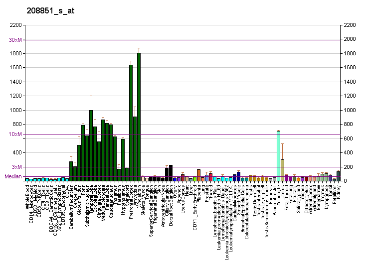 File:PBB GE THY1 208851 s at fs.png