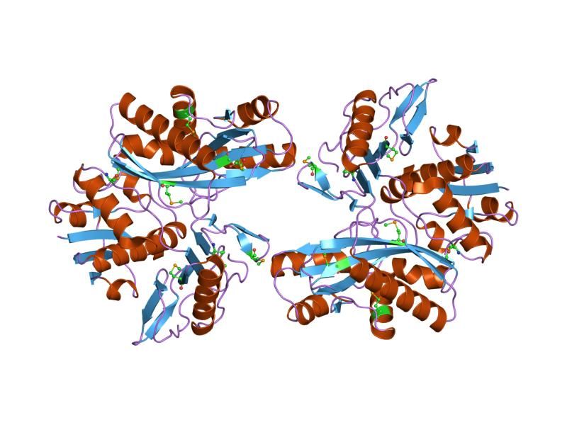 File:PDB 1vkz EBI.jpg