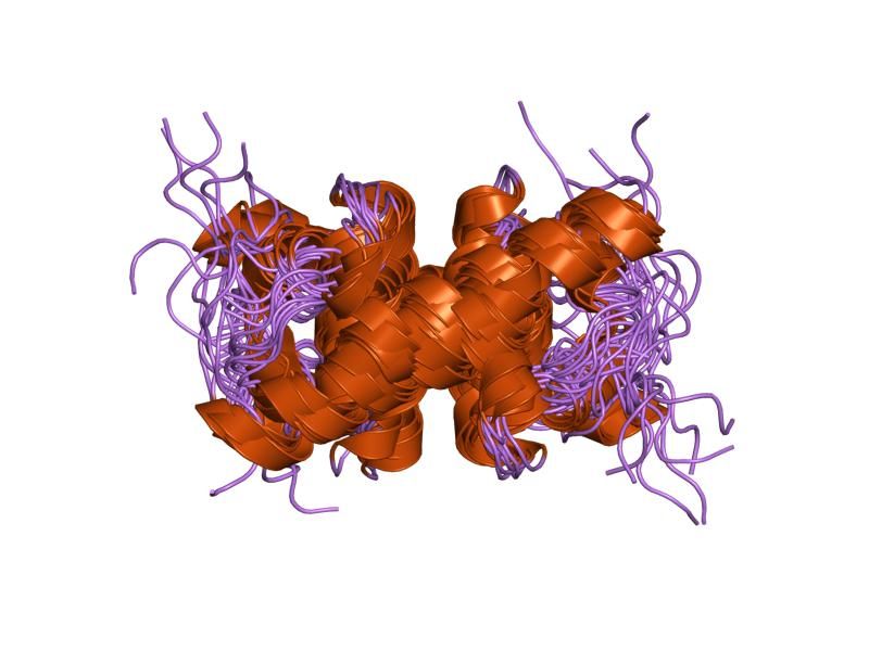 File:PDB 2aqe EBI.jpg