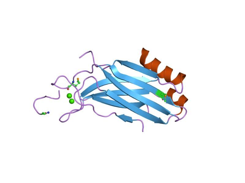 File:PDB 2cm5 EBI.jpg