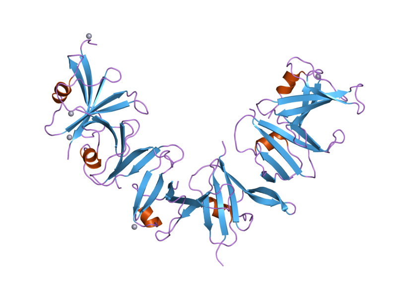 File:PDB 2d5g EBI.png