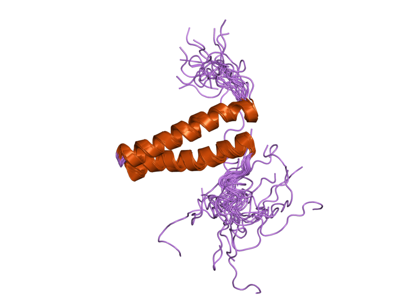 File:PDB 2djv EBI.png